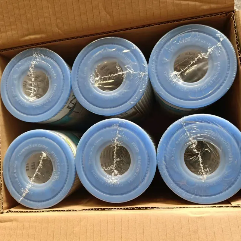 INTEX 26604 C530 Swimming Pool - Water Filter Cartridge ulasan dan harga